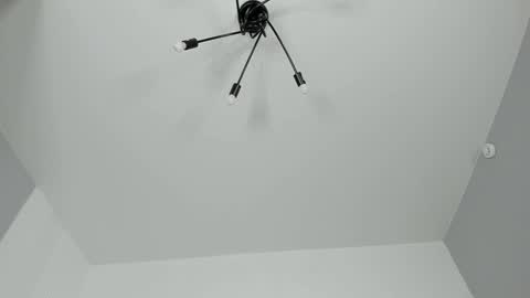 Dolly online show from February 2, 2025, 7:25 pm