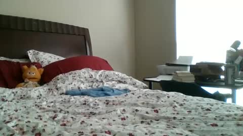 Jennibean6996 online show from September 30, 2025, 1:49 pm