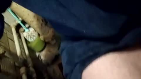 Join me online show from February 8, 2025, 1:33 pm