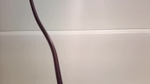 Snapshot of jeremymeyerprofessional chatting on May 28, 2026, 11:07 am jeremymeyerprofessional online show from May 28, 2026, 11:07 am