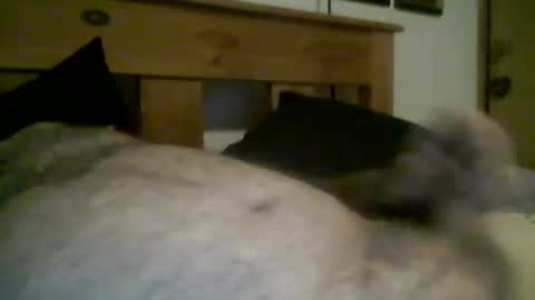 Snapshot of jerkmate6666 chatting on March 12, 2026, 11:44 pm jerkmate6666 online show from March 12, 2026, 11:44 pm