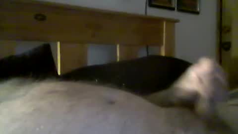 Snapshot of jerkmate6666 chatting on March 15, 2026, 9:32 pm jerkmate6666 online show from March 15, 2026, 9:32 pm