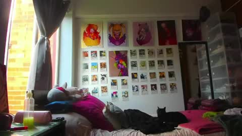 Snapshot of jessie_williams_01 chatting on May 15, 2026, 9:11 pm Your Sweet Angel online show from May 15, 2026, 9:11 pm