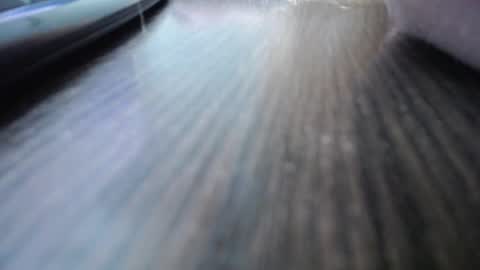 Jess online show from December 7, 2024, 10:34 am