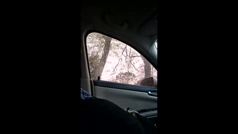 jgthagr8 online show from March 4, 2026, 1:28 pm