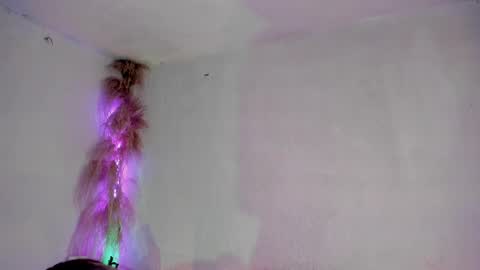 jianilnescoth online show from February 10, 2025, 1:01 pm