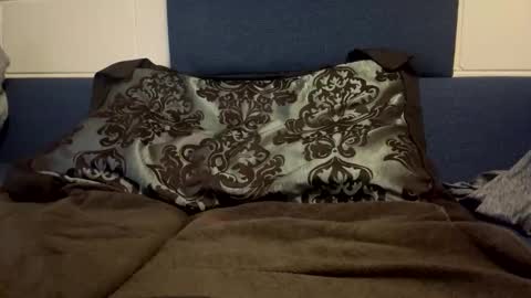 Snapshot of jibai582233 chatting on February 19, 2026, 1:01 am bigdawgg online show from February 19, 2026, 1:01 am