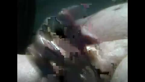 Snapshot of jimboluv488 chatting on December 18, 2024, 2:10 am jimboluv488 online show from December 18, 2024, 2:10 am