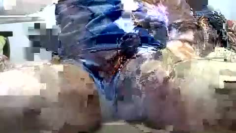 jimii281 online show from March 25, 2026, 8:15 pm