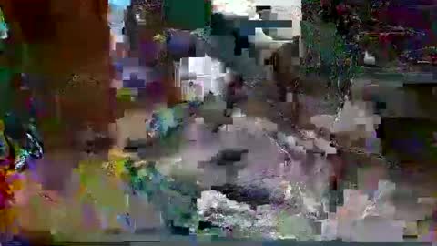 jimm83323458 online show from October 20, 2025, 2:23 am