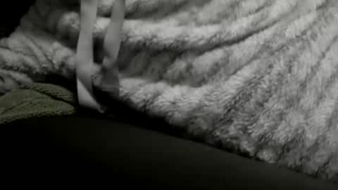 jimmiguel12345678 online show from December 25, 2024, 2:14 am