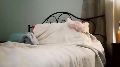 Jimz14u online show from January 4, 2025, 3:18 am