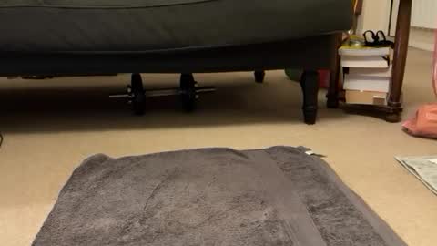 jinker2002 online show from December 16, 2024, 5:22 pm