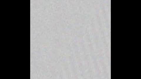 jinscreet online show from February 20, 2025, 10:59 am