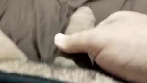 jj3377 online show from October 26, 2025, 6:08 am