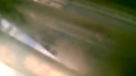 Snapshot of jlz2695 chatting on March 6, 2026, 8:27 pm jlz2695 online show from March 6, 2026, 8:27 pm