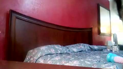 Snapshot of jmbaby chatting on December 4, 2024, 2:59 pm jmbaby online show from December 4, 2024, 2:59 pm