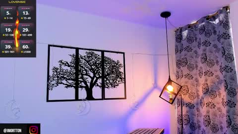 Snapshot of jmortton chatting on February 11, 2025, 2:13 pm IGJmortton online show from February 11, 2025, 2:13 pm