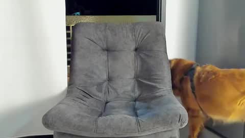 JOAN SAENZ online show from January 9, 2025, 3:47 am