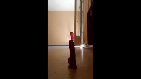 jobi88 online show from April 5, 2026, 11:51 am