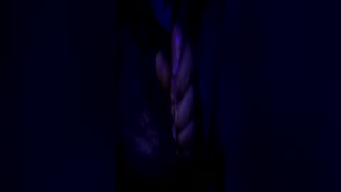 Snapshot of johnbruce23 chatting on June 25, 2026, 11:37 am johnbruce23 online show from June 25, 2026, 11:37 am