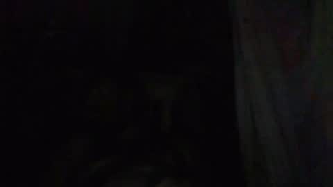 Snapshot of johndearbornewashere chatting on June 28, 2026, 7:47 am johnny online show from June 28, 2026, 7:47 am