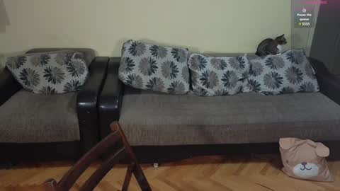 Johnny online show from December 14, 2024, 7:36 pm