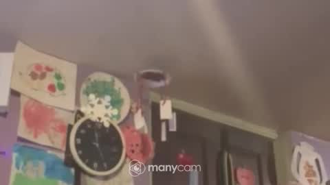 Snapshot of johnnyshung1 chatting on December 16, 2024, 9:57 am johnnyshung1 online show from December 16, 2024, 9:57 am