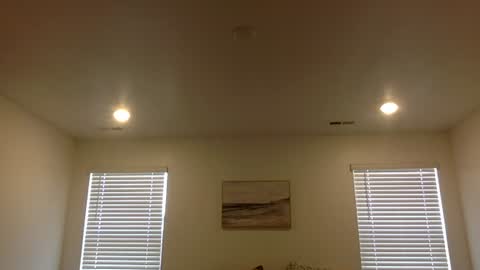 Snapshot of johntitoo chatting on July 6, 2026, 3:03 pm John Tito online show from July 6, 2026, 3:03 pm