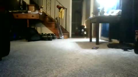 Johnynasty87 online show from June 7, 2026, 4:27 am