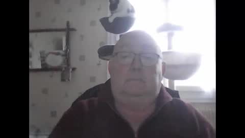 jojo60000529566 online show from December 7, 2024, 2:13 pm