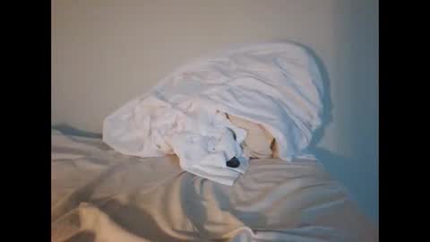 jojooo27 online show from February 14, 2026, 6:48 pm