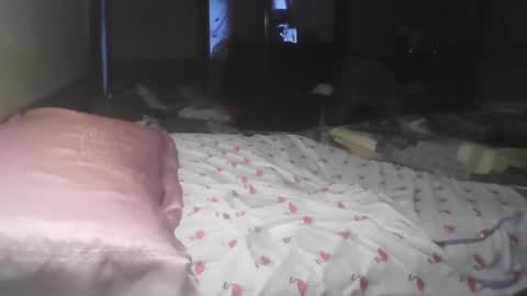 Snapshot of jojosbizarrelyf chatting on November 17, 2025, 11:21 pm jojosbizarrelyf online show from November 17, 2025, 11:21 pm