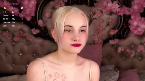 Alice online show from March 17, 2026, 11:13 am