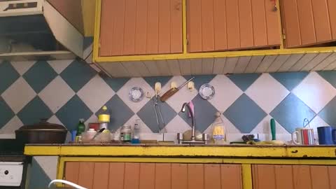 Jony Marta GMT 2000-0100 every day online show from December 20, 2025, 6:59 pm