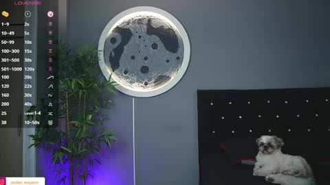 Jordan online show from April 20, 2026, 9:12 am