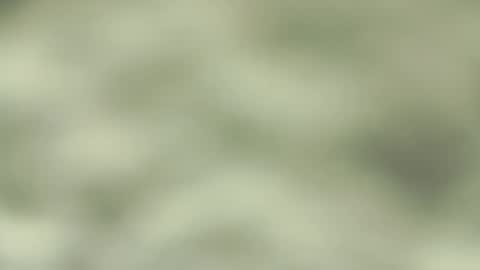 Snapshot of jorgesanma chatting on March 9, 2025, 9:36 pm Jorge San online show from March 9, 2025, 9:36 pm