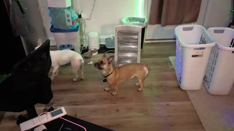 Josef online show from April 17, 2026, 5:21 am