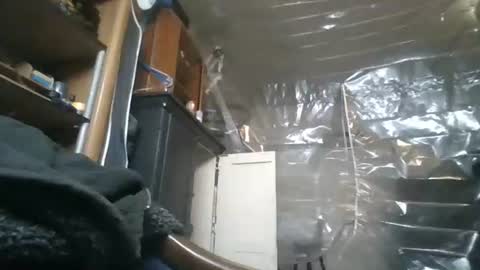 sissy josphine online show from November 28, 2025, 5:32 am