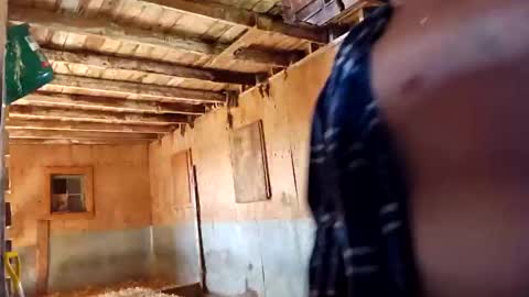 joshnewman540 online show from September 14, 2025, 7:02 pm