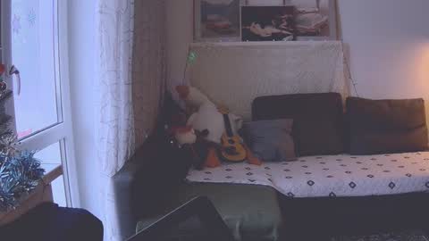 joy_keys online show from January 9, 2025, 11:58 am