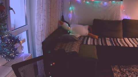 joy_keys online show from January 14, 2025, 1:06 pm