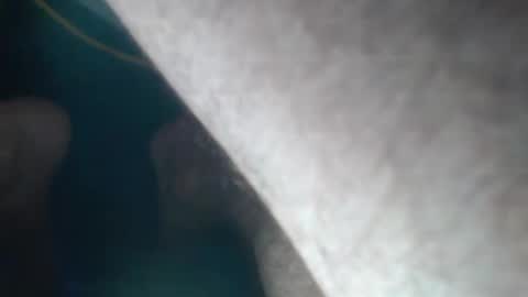 FreshNess online show from September 23, 2025, 12:02 am