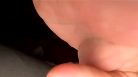 jst33456 online show from November 30, 2025, 12:53 pm