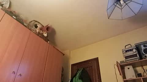 juanka85564456 online show from January 29, 2025, 12:43 am