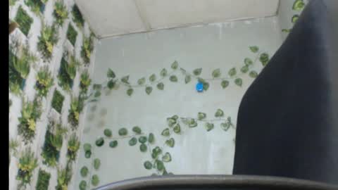 Mariagold online show from February 13, 2025, 1:19 am