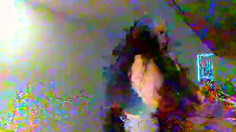 juicylatinabbw online show from February 20, 2026, 4:07 pm