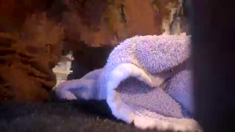 Juish5521 online show from March 6, 2025, 10:09 am