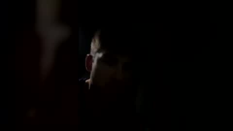 jul061007 online show from March 15, 2026, 11:33 pm