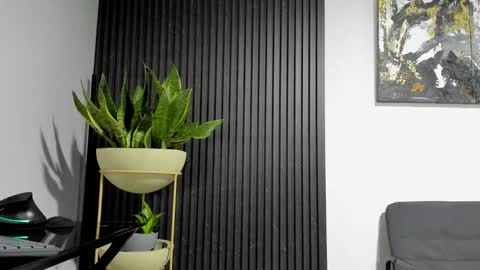 Julian online show from February 19, 2026, 12:06 am